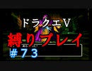 【ドラクエ5 縛りプレイ】今の戦力で行けるのか？ゲマ戦行ってみよう！Part73【アルカリ性】