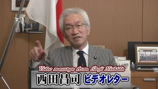 【西田昌司】社会全体として視たリスク、ワクチン接種と日常の回復[R3/2/18]