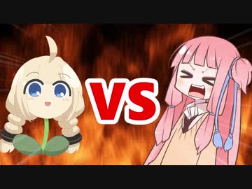 茜ちゃんVSあかり草