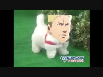愛犬ロボ「ライナー」
