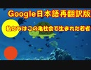 亀ラップを英語から日本語に再翻訳して歌ってみた【ボボボーボ・ボーボボ】