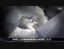 イギリスの英断・中国の強制臓器摘出を阻止せよ