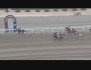 第3回雲取賞 ランリョウオー