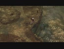 【Tree of Savior】白い羽毛と散歩するだけ。【その１６】