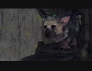 【実況】ワシと大鷲のお話。「人喰いの大鷲トリコ」part22