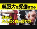 【たんぱく質】筋肥大ための効果的なたんぱく質の摂取方法【ビーレジェンド プロテイン】