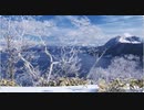 風に聞け　２１０２１８　X Ray Vision - Slynk