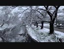 【岩倉市公式】2021年2月18日 愛知県岩倉市