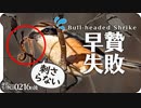0216B2【モズ捕食 早贄と求愛 鳴き真似】猛禽類ノスリ、トビ。ミコアイサとカワセミ。ホオジロ、ホシハジロ、キンクロハジロ、ハシビロガモ。 鶴見川新横浜公園の野鳥 #身近な生き物語 #早贄 #モズ