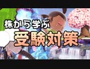 むらびと、斧VIP #33【スマブラSP/SSBU】