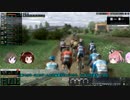 そのゆっくりは迅速に石畳をめざす　その5　【PCM2020】