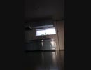 巣立ちの歌
