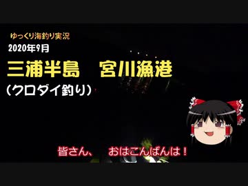 三浦半島　クロダイ釣り【2020年9月】