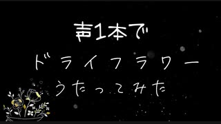 声一本で「ドライフラワー」歌ってみた。