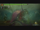 【MH3G】水没林のモンスター共を狩る！