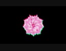 【鏡音ダニア】かるみあどーるず【UTAUカバー＋UST】