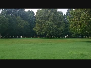 VS 大名行列