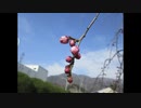 ２０２１年２月１９日　ho 散歩