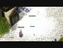 【RO】プラチナシールドでSGに突撃してみた！