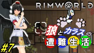 【Rimworld】椛と射命丸の遭難生活 #7 【ゆっくり実況】【リムワールド】