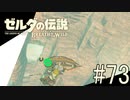 【ゼルダの伝説ブレスオブザワイルド＃73】サンドブーツ追剝しようとしたら何故か雪山登山することに！？【はるの積みゲー崩し】
