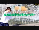 【でん】ルカルカ★ナイトフィーバー【踊ってみた】