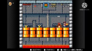 スーパーマリオワールドスーパープレイ