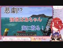 【切り抜き】強欲ばあちゃん海に散る！？【鬼灯わらべ】