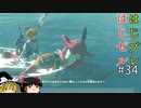 【ゆっくり実況】はじめてのゼルダはじめてのブレワイ part34【ゼルダの伝説ブレスオブザワイルド】