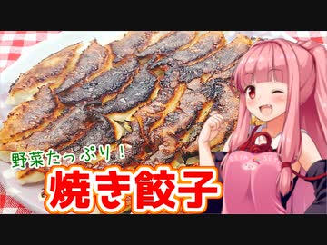 【コラボ動画！】台本交換したらこんな動画になりました【焼き餃子】