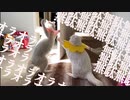 オラオラオラオラァッ！無駄無駄無駄無駄ァッ!!2021