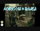 犬と魚のばいお日記10