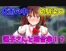 【ゆっくり茶番劇】【ツンデ蓮子の恋模様！？】〈大雨の中蓮子さんと相合傘〉2話