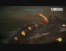 【旧WR】第７の巨像 Hydrus NTA 0:35.82【ワンダと巨像】