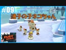 【スーパーマリオ フューリーワールド】のんびりプレイ part9【SnowSky】