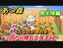 あつまれどうぶつの森　３月から捕れる虫まとめ！捕れる場所と時間帯も紹介！南半球編！　【あつ森】