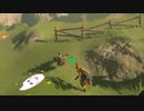 【ゼルダの伝説BOTW】目が覚めたらお米になっていた_Part7(ゆっくり)
