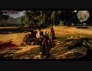 #02　歳はとってるけど美人だよな【The Witcher 3: The Wild Hunt】