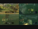 【ゼルダの伝説BOTW】目が覚めたらお米になっていた_Part7.5(番外編)