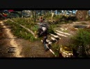#03　逃げろと言われると頑張っちゃうよな【The Witcher 3: The Wild Hunt】