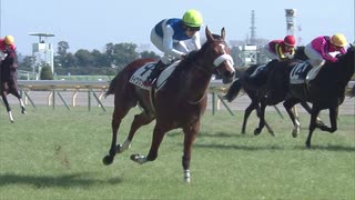 4歳上1勝クラス_ダイワクンナナ