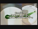 「料理」「セルフィーユのクーリー」と「バジルとほうれん草のクーリー」「part20」