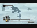 【ダクソ２】葵ちゃんが闇魔術師を目指してみる！　その48