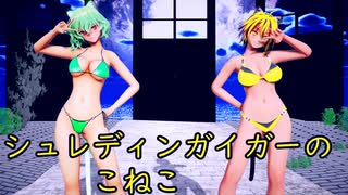 【東方MMD】幽香ニャンと星にゃんでシュレディンガイガーのこねこ