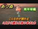 あつまれどうぶつの森　３月から獲れる海の幸まとめ！南半球編！海の幸図鑑コンプするために！　【あつ森】