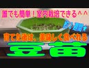 おうちで簡単栽培！「豆苗」を栽培してみた