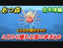 あつまれどうぶつの森　３月から獲れる海の幸まとめ！北半球編！　海の幸図鑑コンプするために！【あつ森】