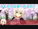 【友情は食べれますか？】ノラと皇女と野良猫ハート_第23回【PC実況】