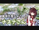 【思い切って野草を食べてみよう】#4 ナズナさん！