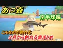 あつまれどうぶつの森　３月から釣れる魚まとめ！釣れる場所と時間帯も紹介！南半球編！　【あつ森】